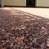 Co powinieneś wiedzieć o kamiennym dywanie do wnętrza domu