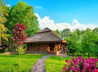 Rodzinne ucieczki do lasu: Jak domki z sauną i jacuzzi mogą wzmocnić więzi rodzinne